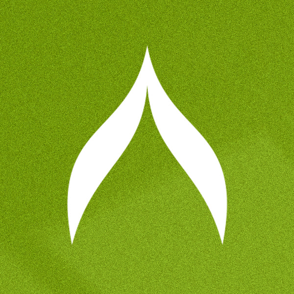 ARDISSI Official Store